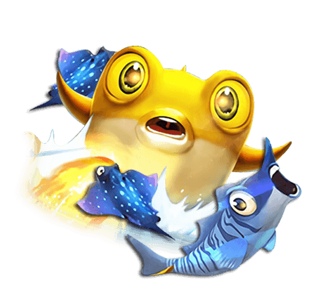 od全站体育最新版